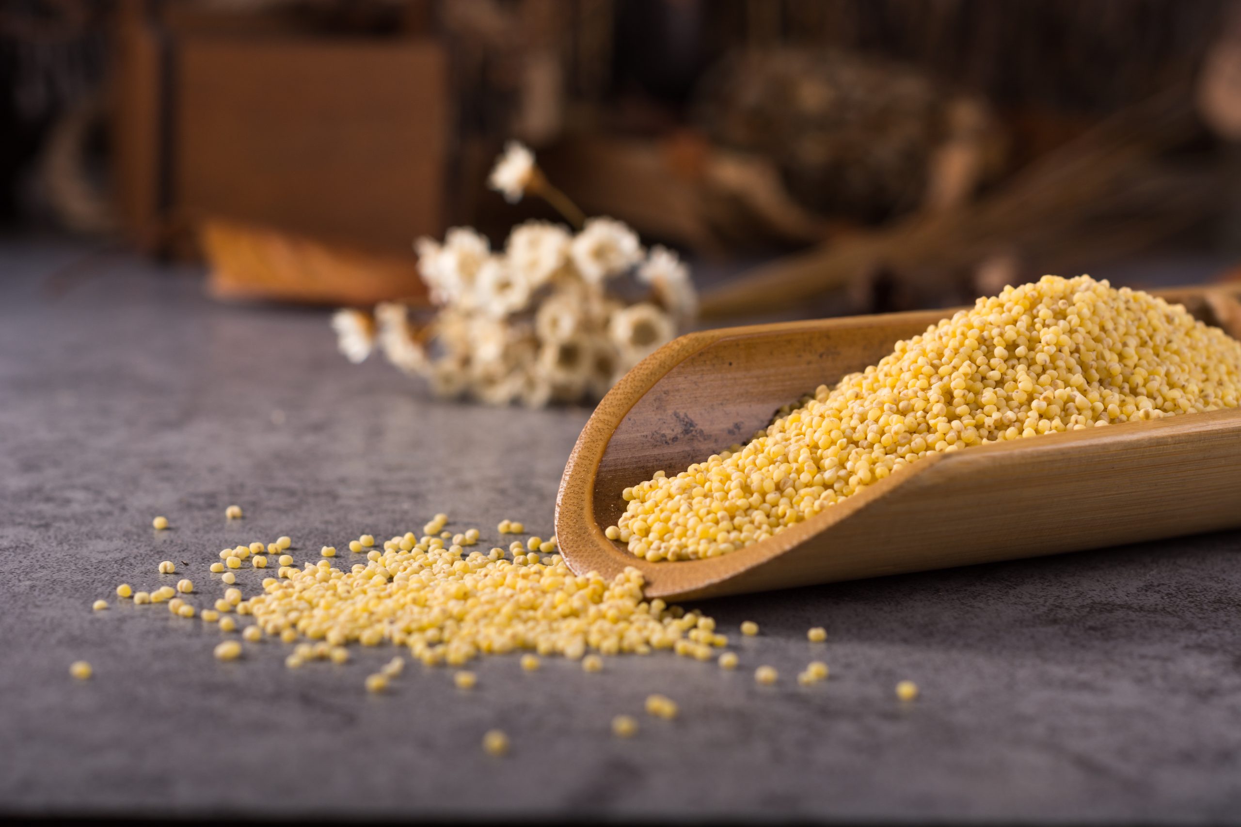 couscous wooden spoon scaled